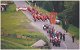 1995-Prozession3