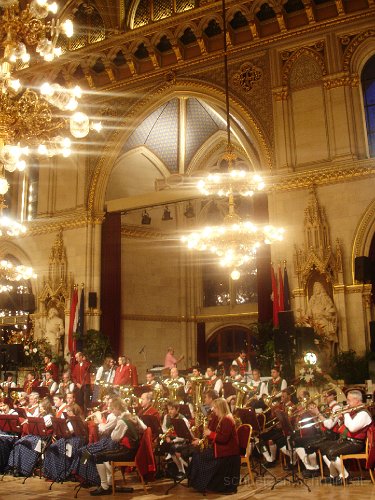 2008-01-26_06-ImGrossenSaalRathausWien.jpg - 26.1.2008 - Tirolerball in Wien. Tirloerball im Wiener Rathaus.
