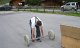 2008-05-31_DSC06874-FloStemmen